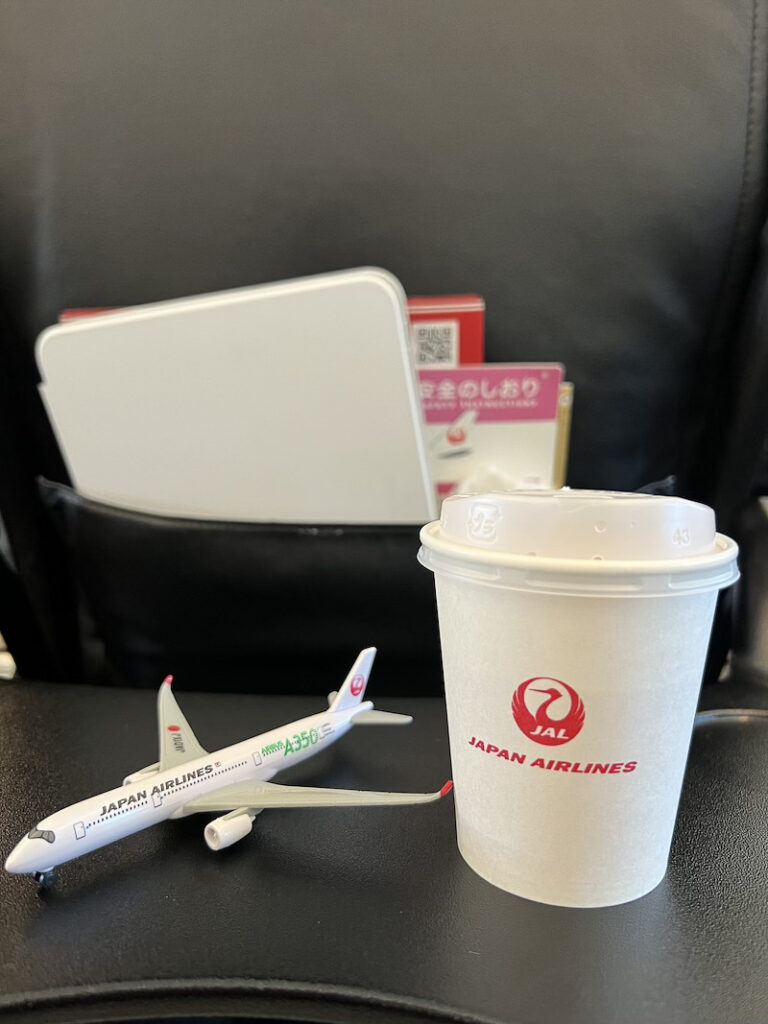 JAL Domestic Flight with Kids Review: Why We Chose It Over the Shinkansen