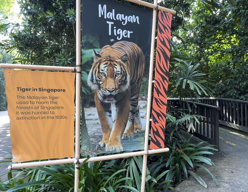 Singapore Zoo