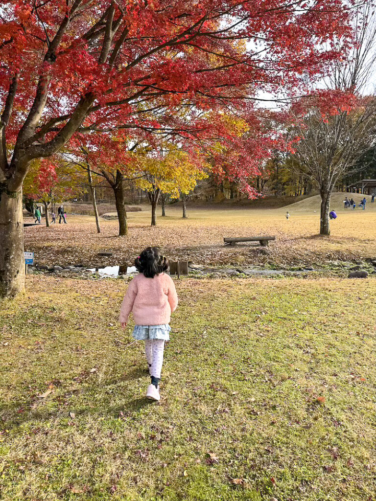 Nikko Daiyagawa Park