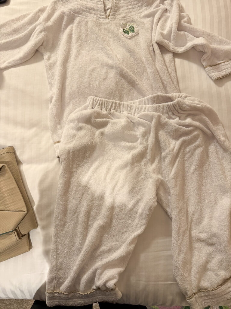 Tokyo DisneySea Fantasy Springs Hotel